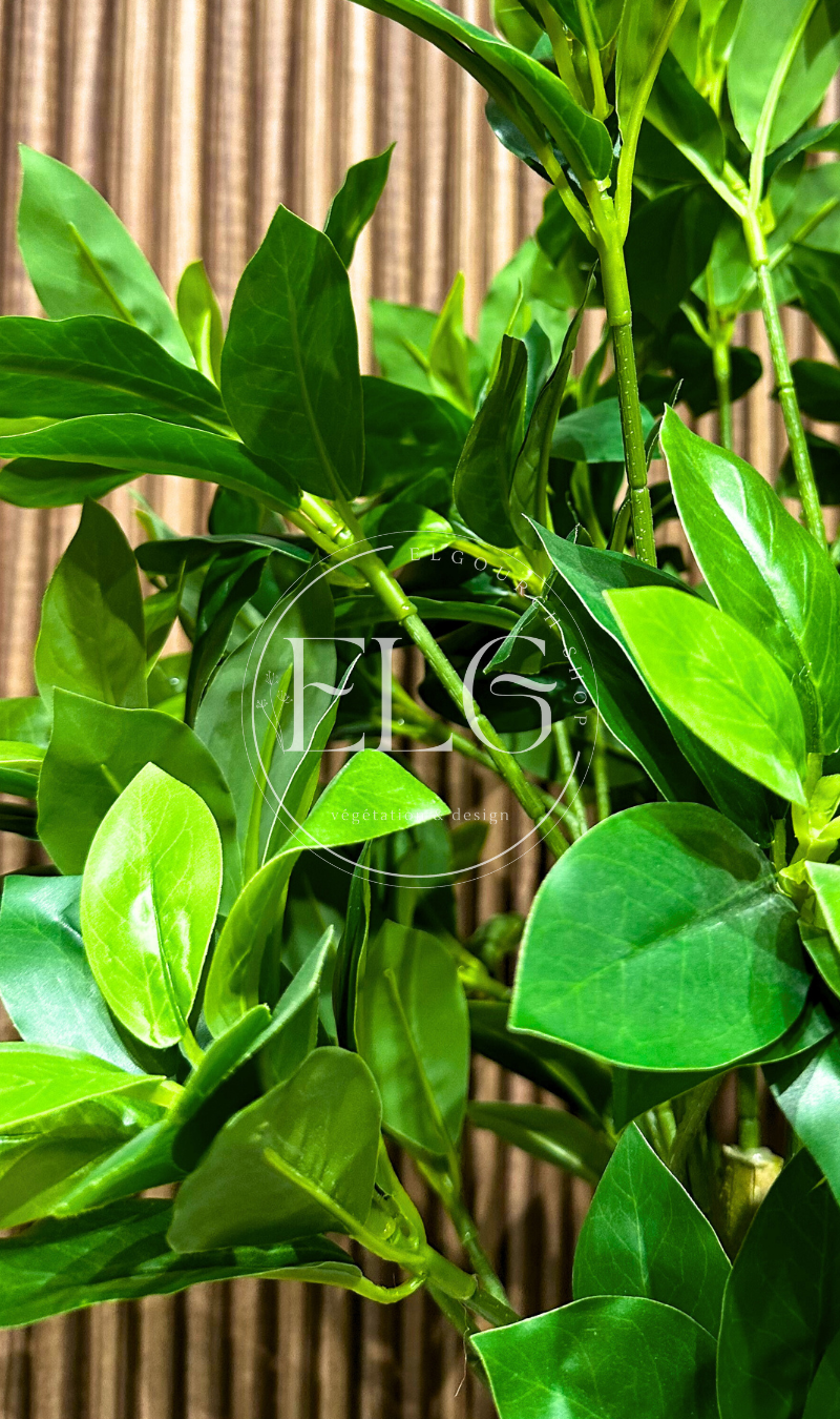 Arbre Citron