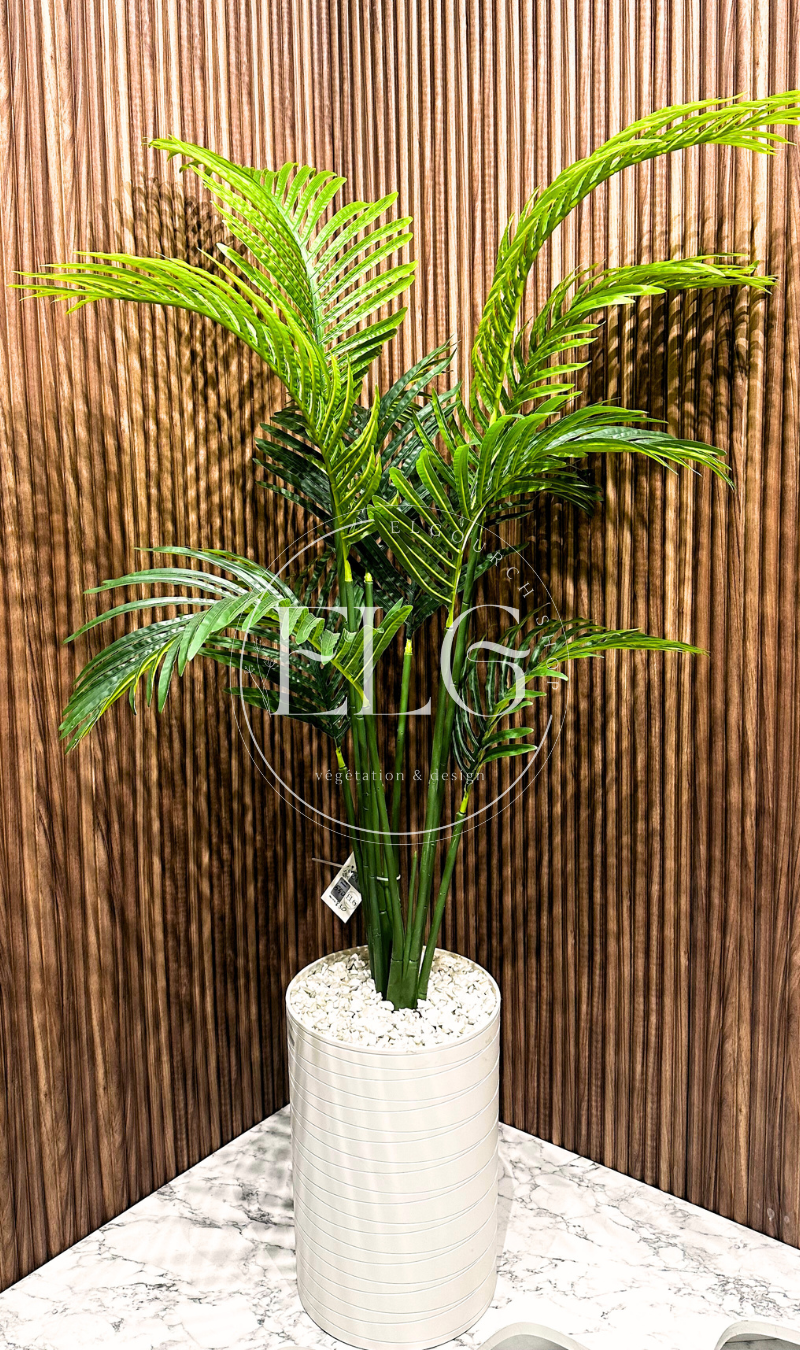Arbre Palmier