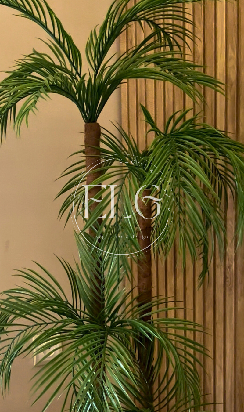 Arbre Palmier