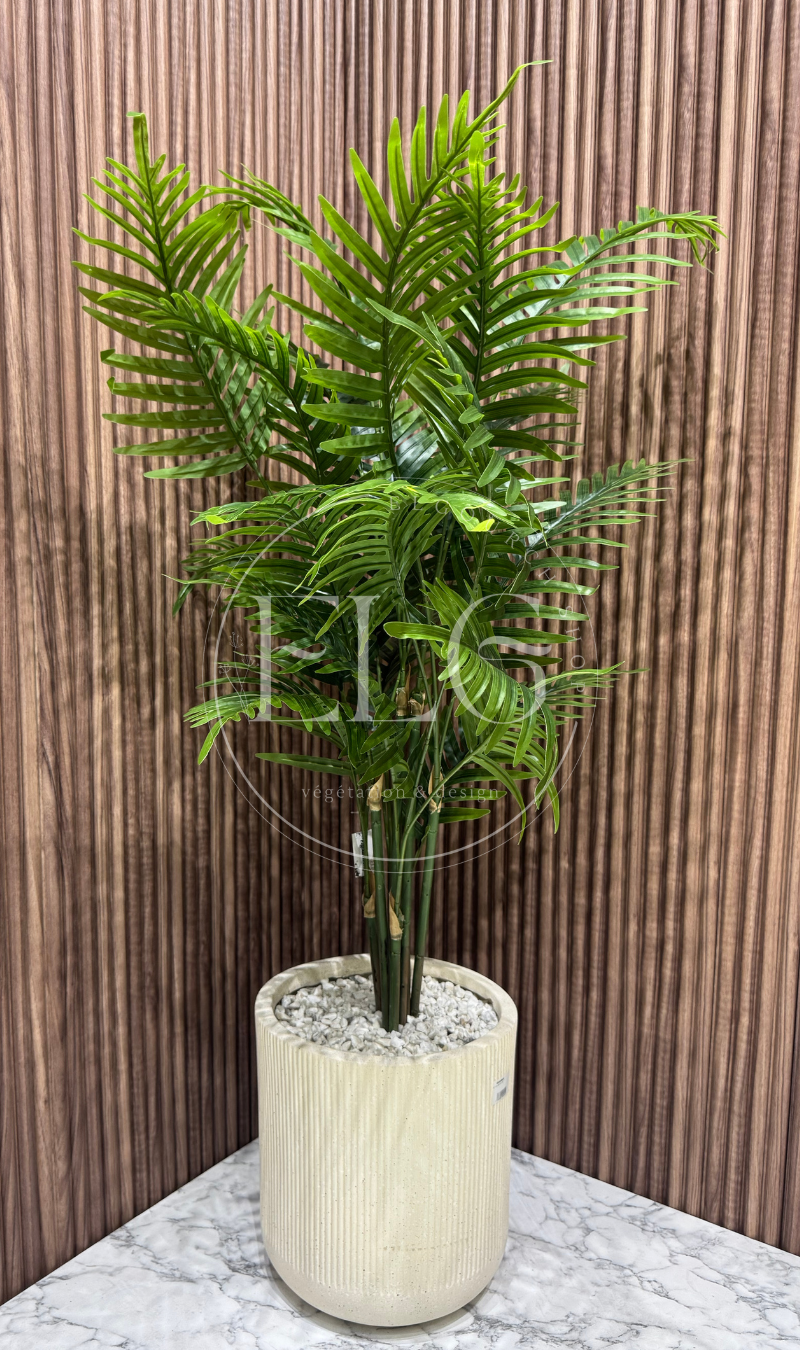 Arbre Palmera Grace