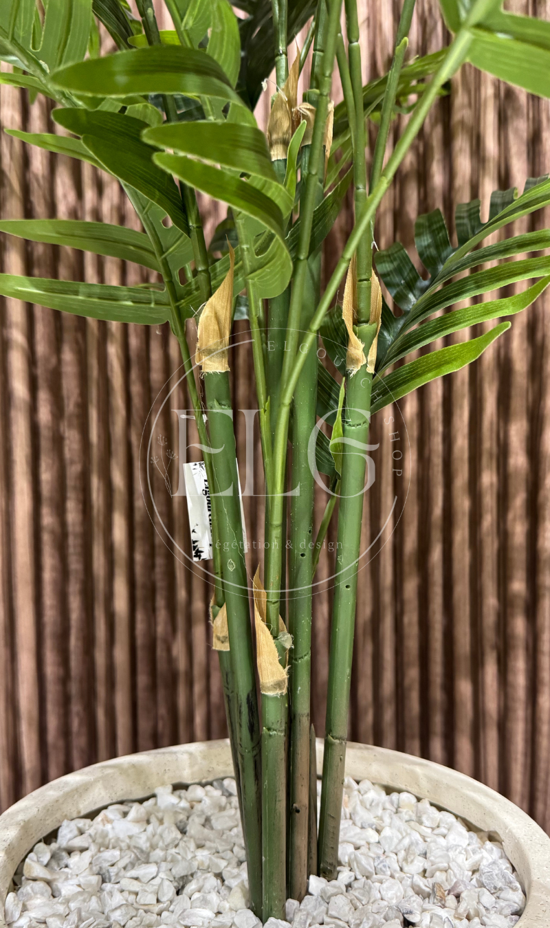 Arbre Palmera Grace