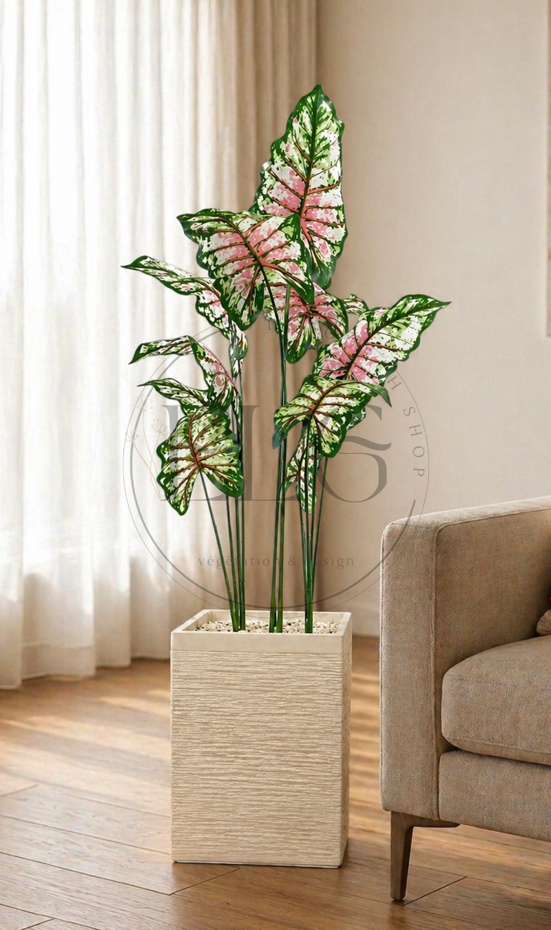 Caladium - plante artificielle