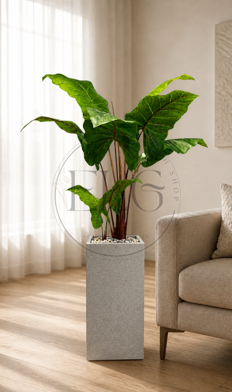 Alocasia - plante artificielle