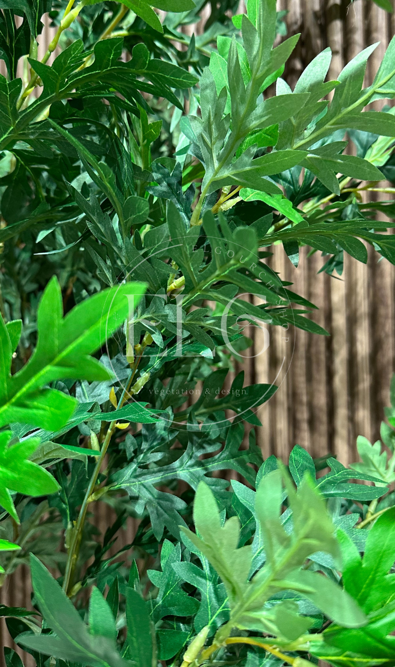 Arbre Arbuste Verdoyant (sans pot)