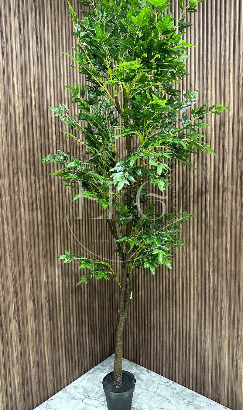 Arbre Raffiné (sans pot)