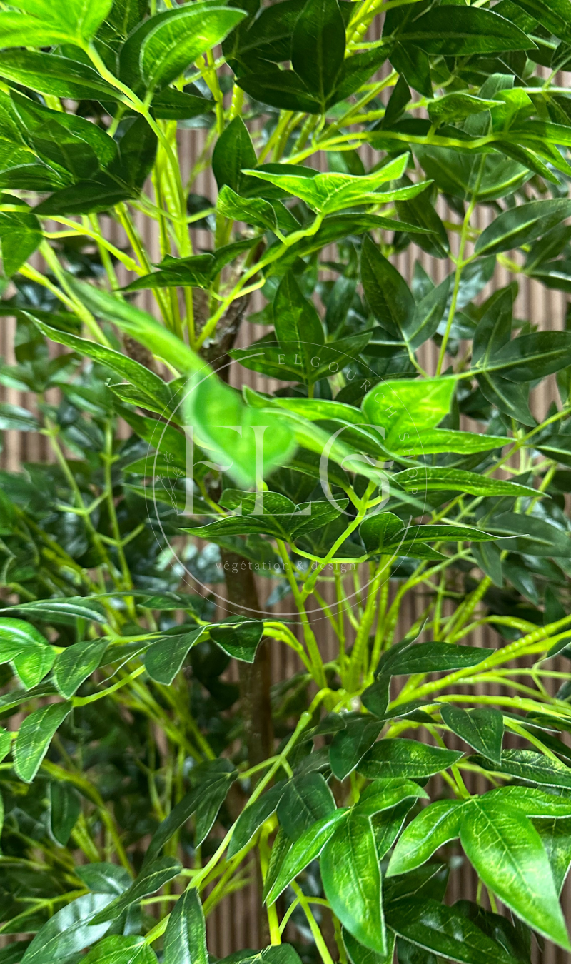 Arbre Raffiné (sans pot)