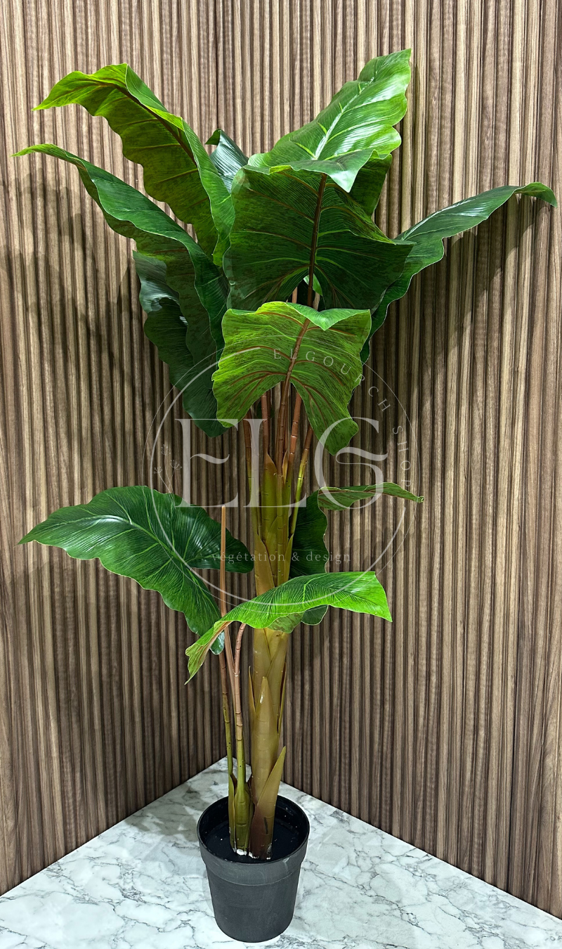 Arbre Tropical Élégance (sans pot)