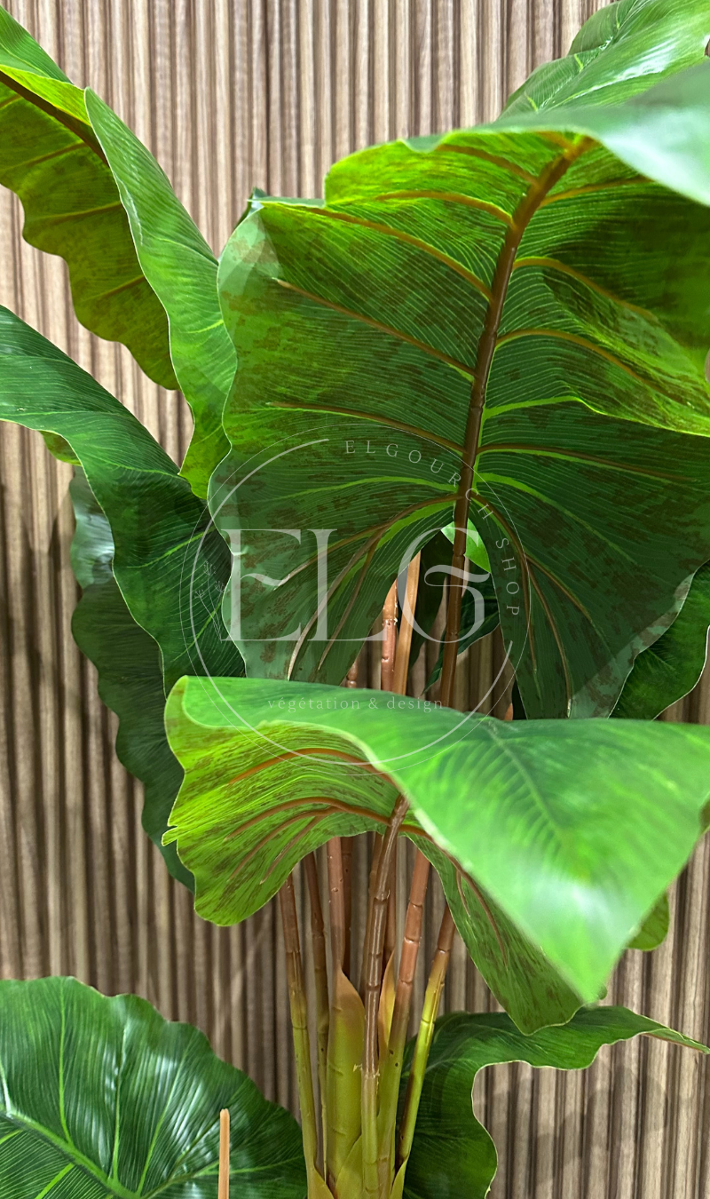 Arbre Tropical Élégance (sans pot)