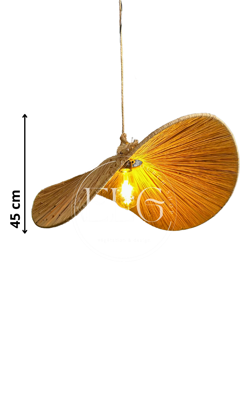 Lustre A1-1 chapeau