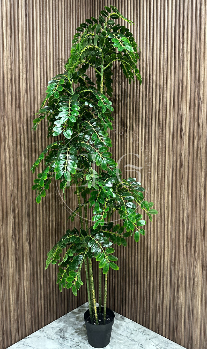 Cascade de Feuilles (sans pot)