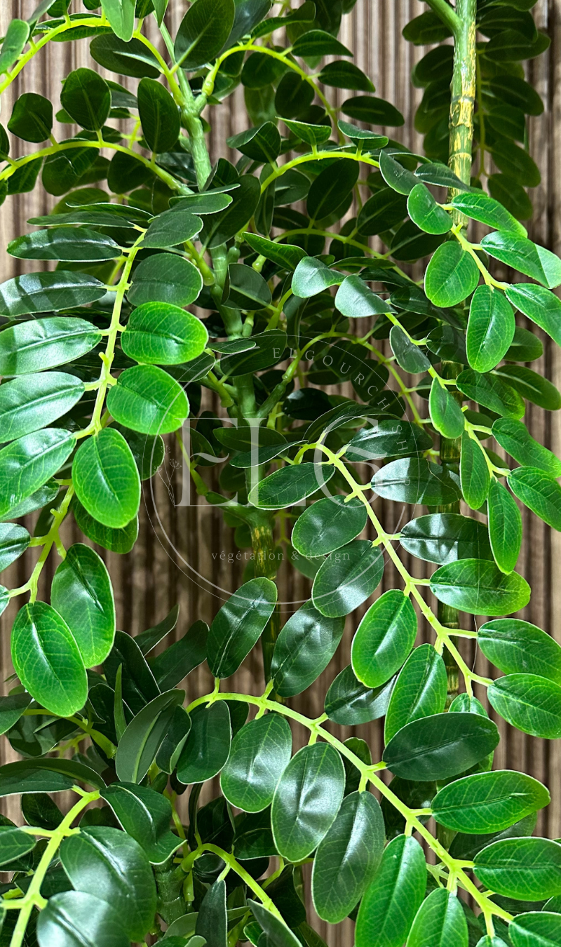 Cascade de Feuilles (sans pot)