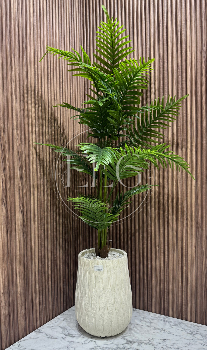 Arbre Bambusa