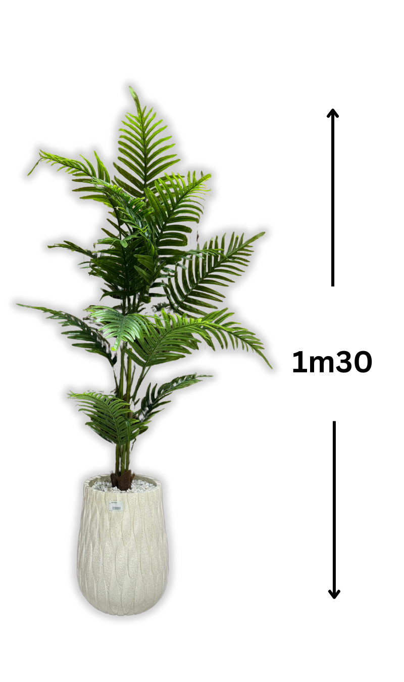 Arbre Bambusa