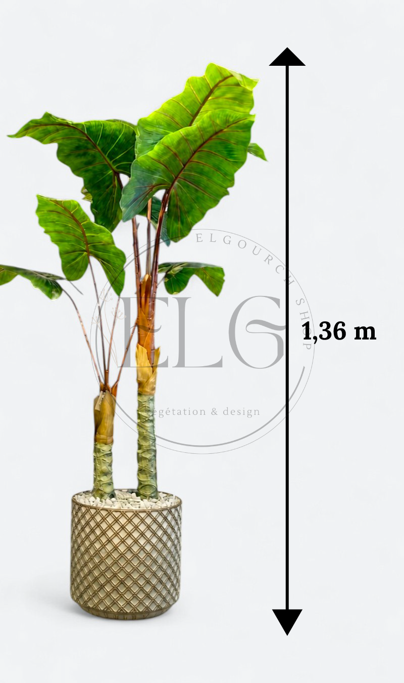 Alocasia - plante artificielle
