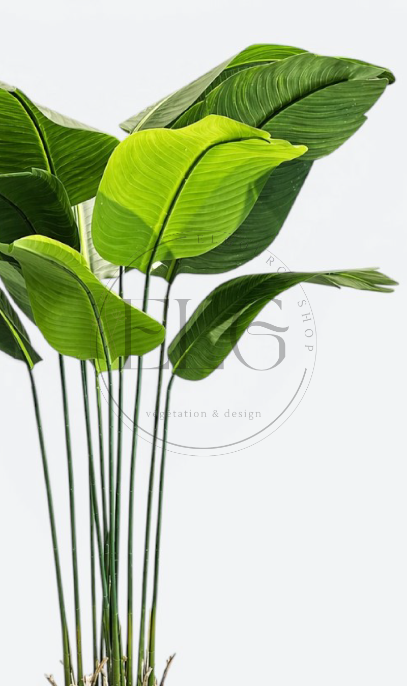 Bananier - plante artificielle