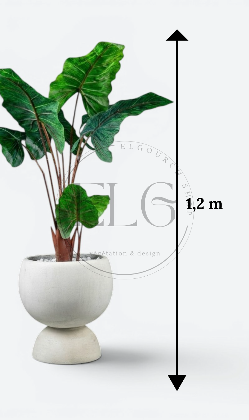 Alocasia - plante artificielle