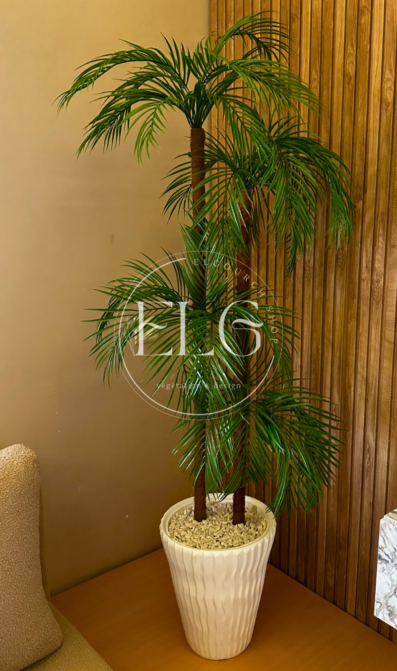 Arbre Palmier