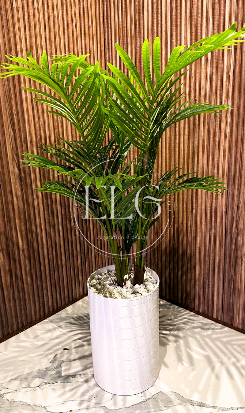 Arbre Palmier Zen