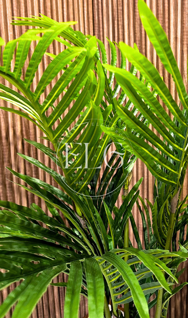 Arbre Palmier Zen