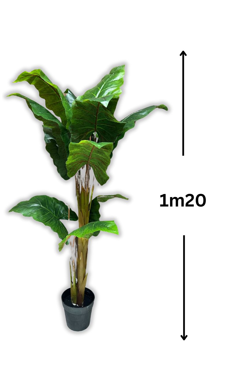 Arbre Tropical Élégance (sans pot)
