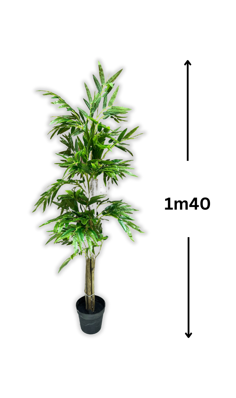 Bambou Verdoyant (sans pot)