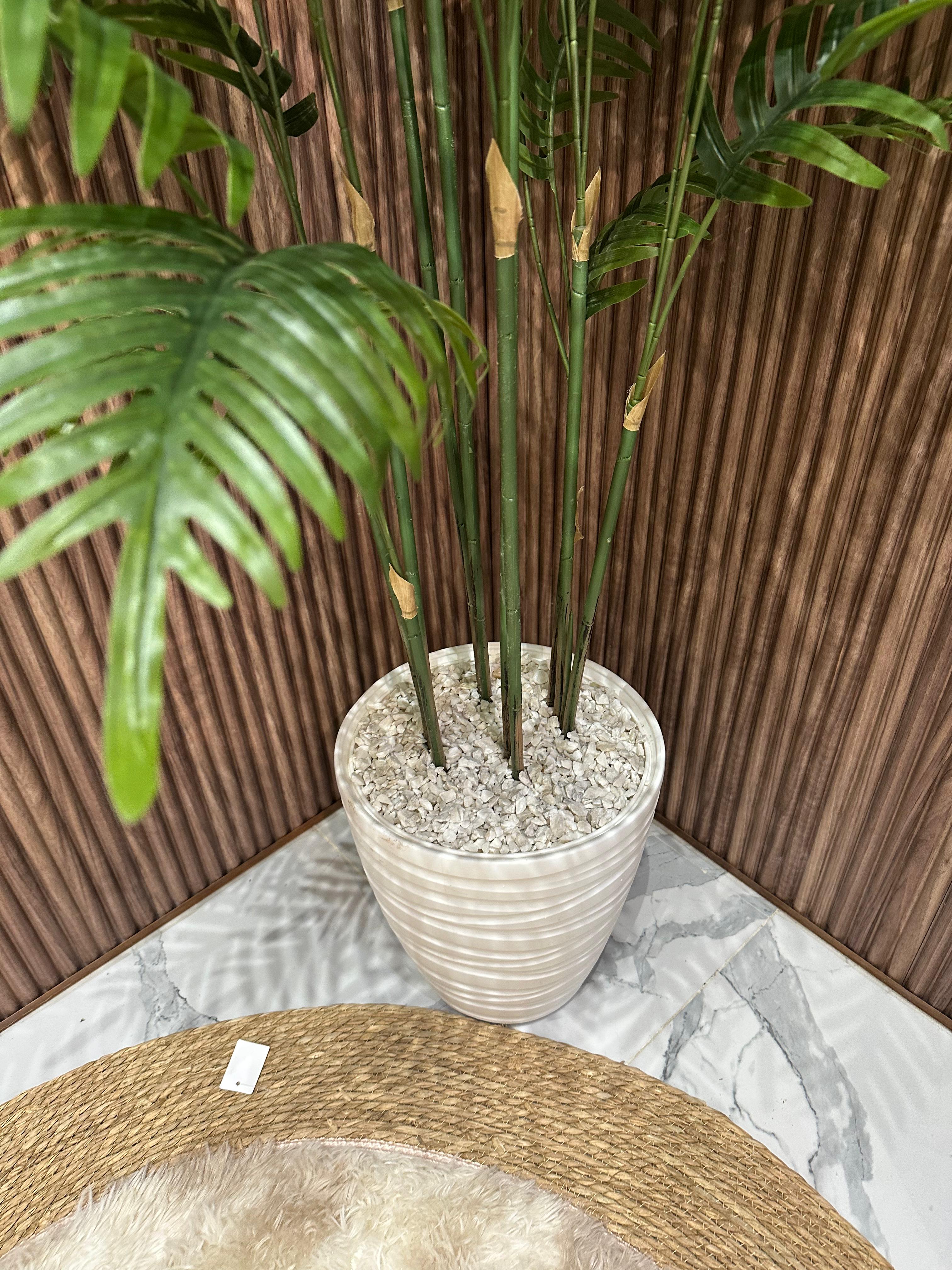Palmier luxe