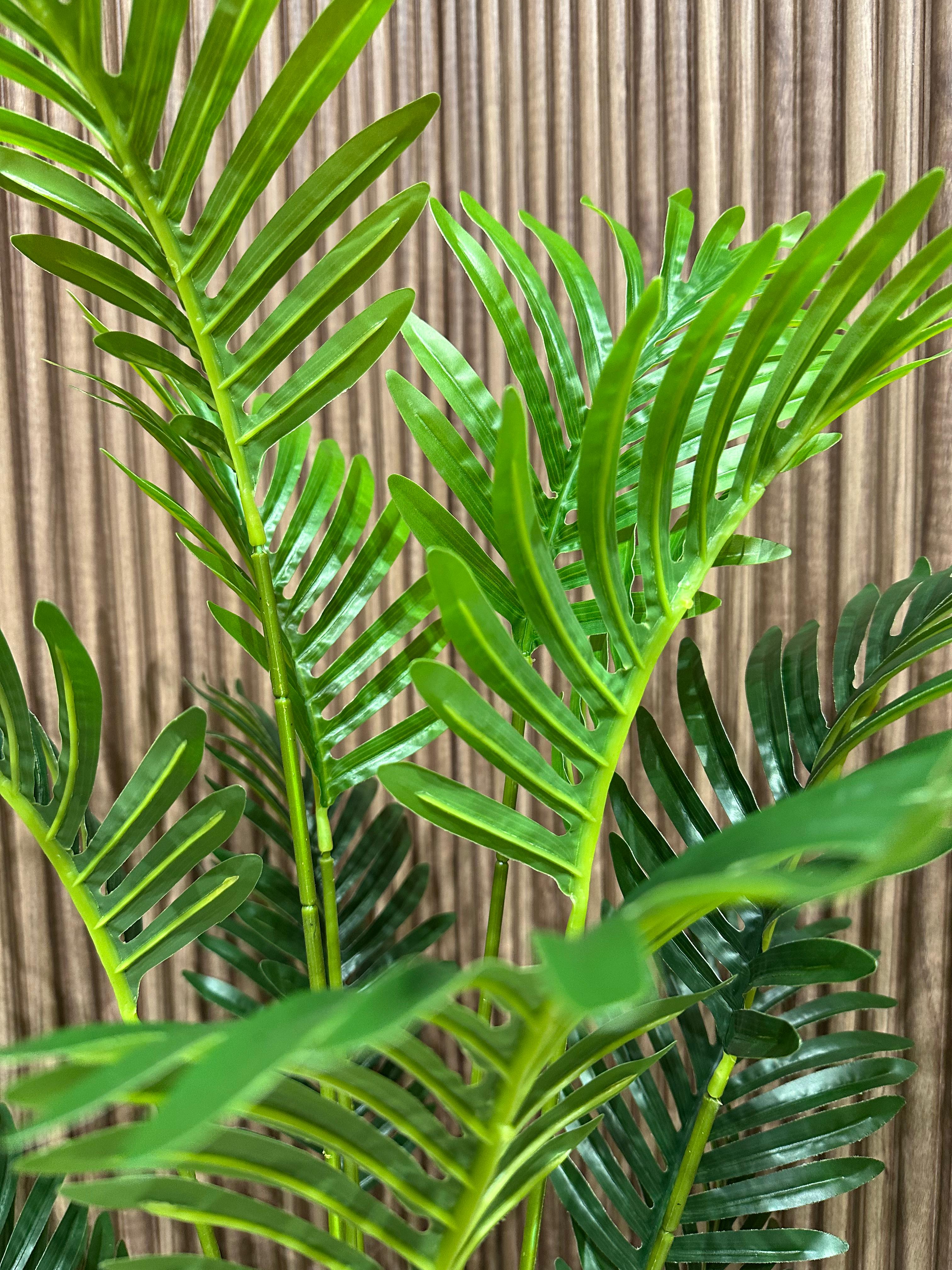 Plante Jardin Tropical