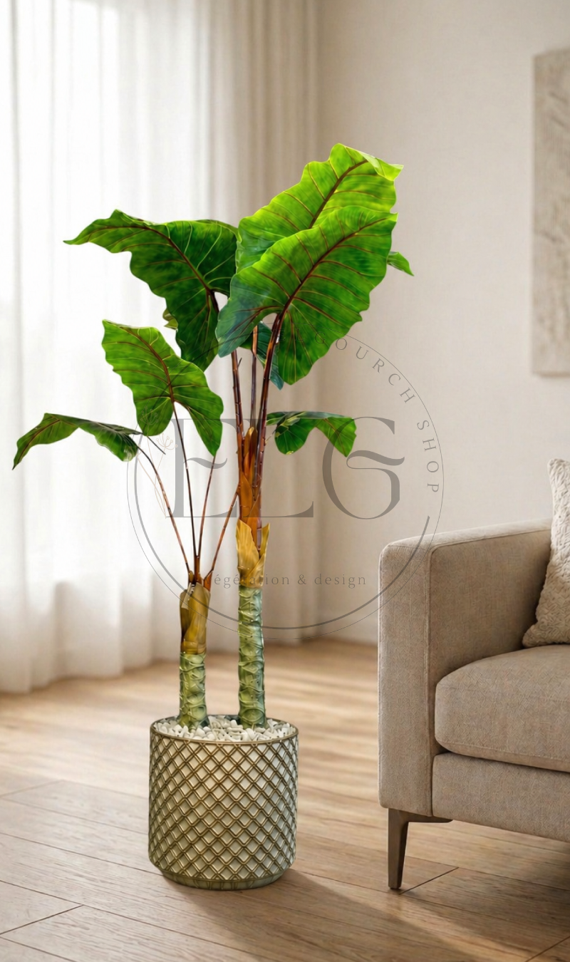 Alocasia - plante artificielle