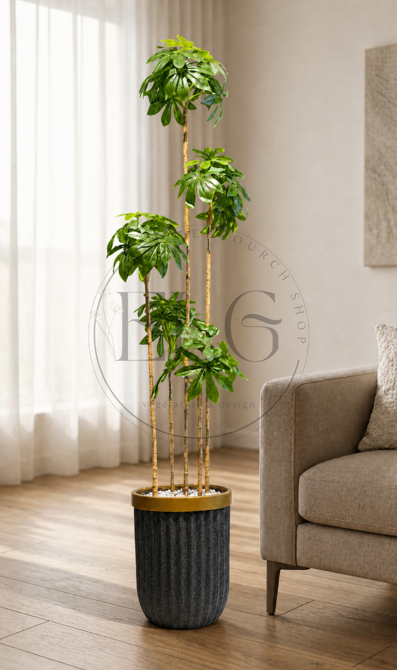 Schefflera - plante artificielle