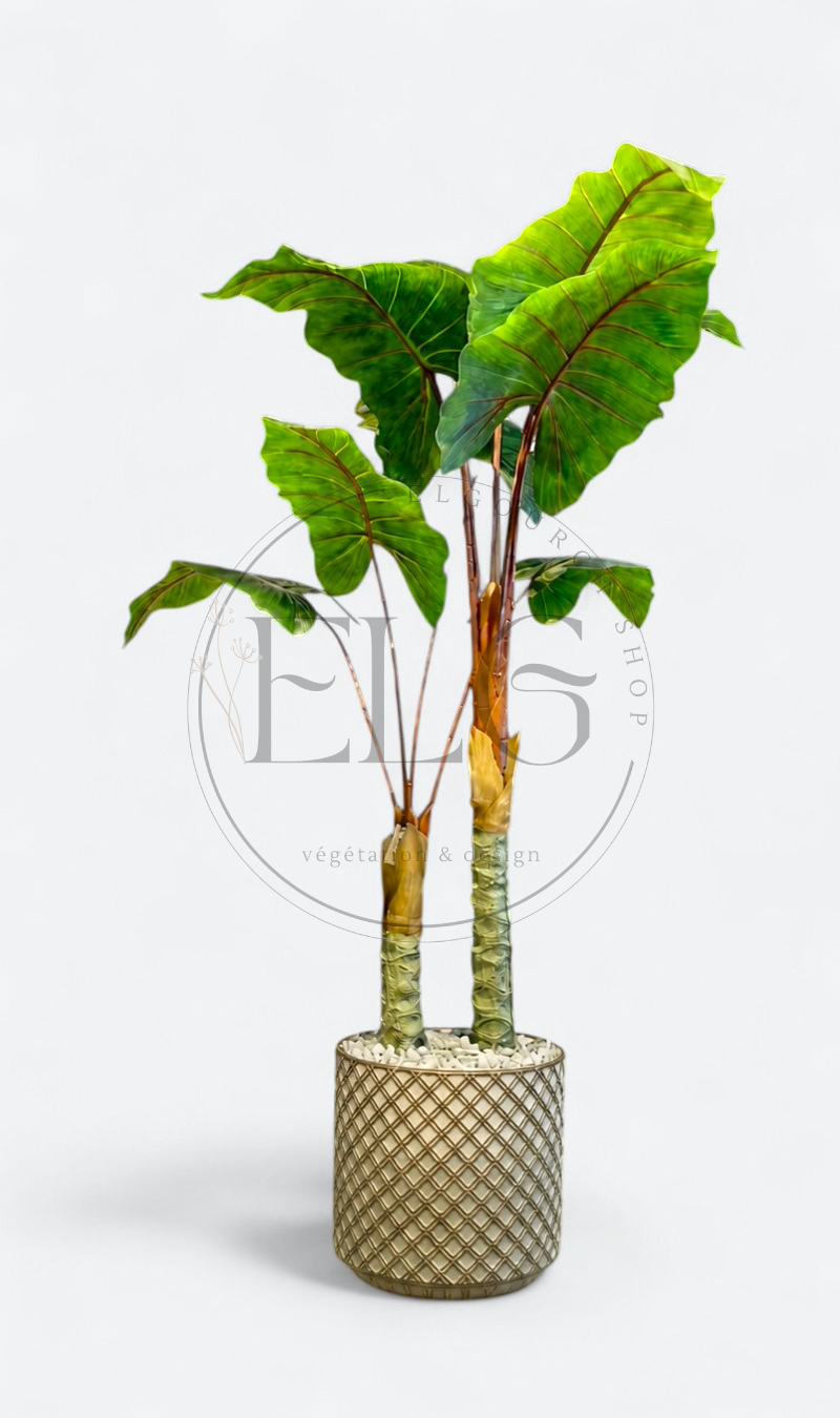 Alocasia - plante artificielle