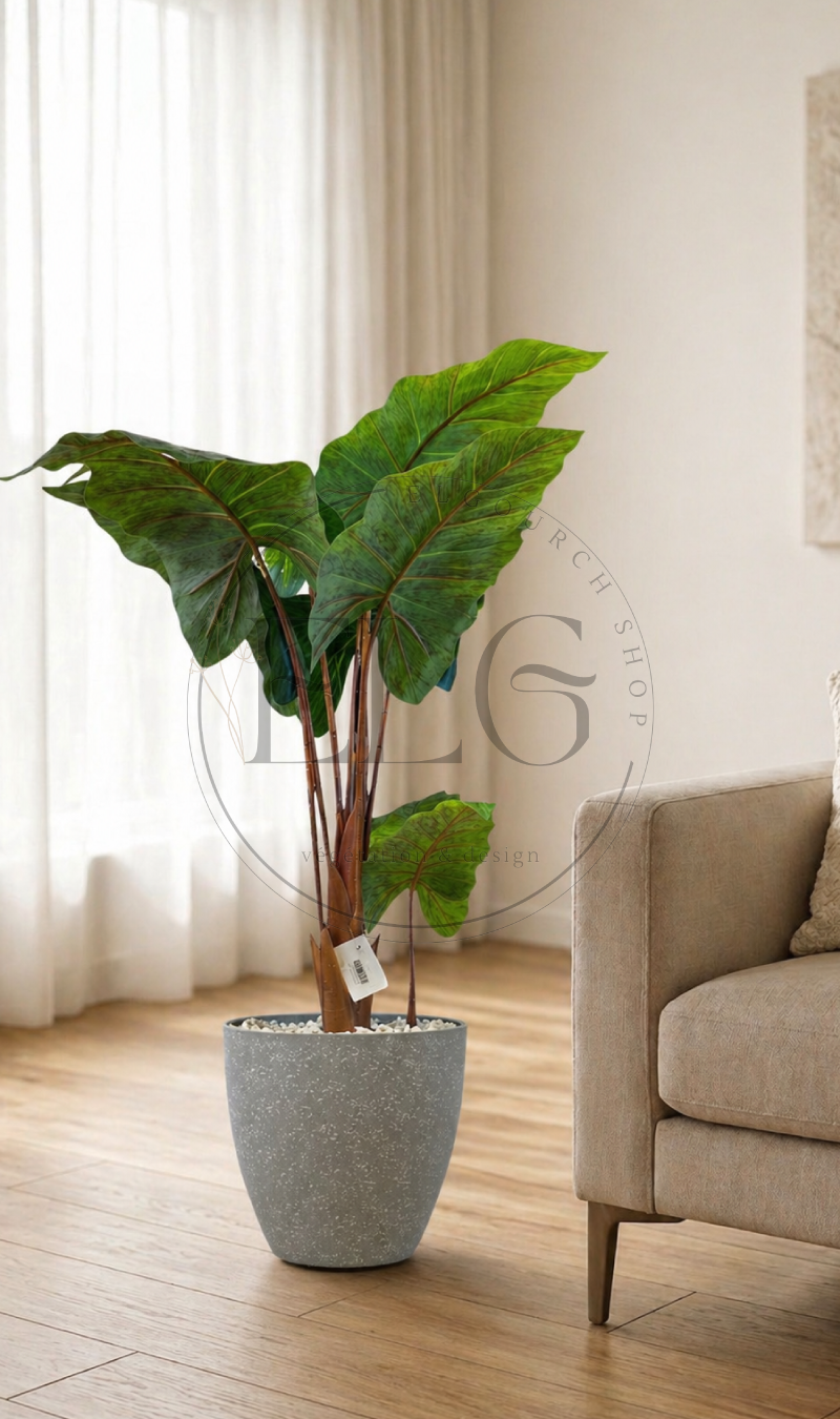 Alocasia - plante artificielle