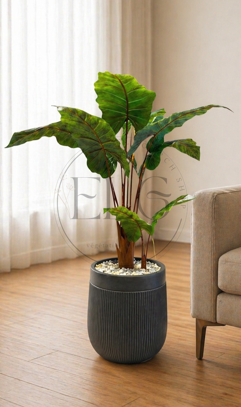 Alocasia - plante artificielle