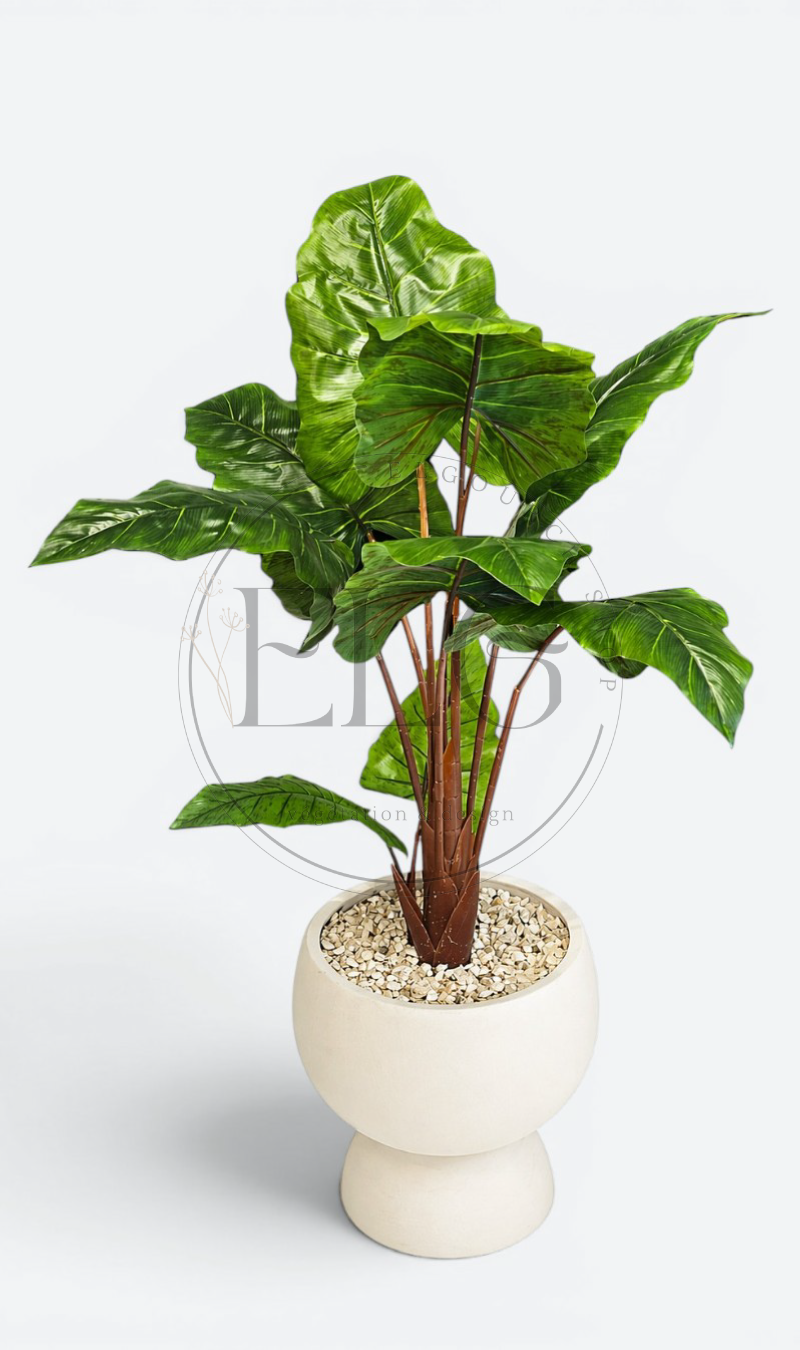 Alocasia - plante artificielle