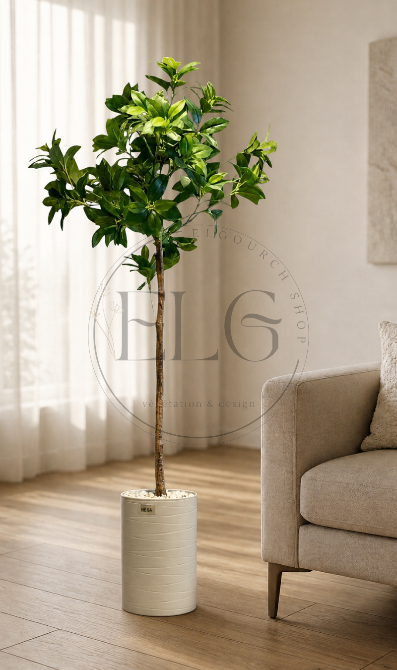 Schefflera - plante artificielle
