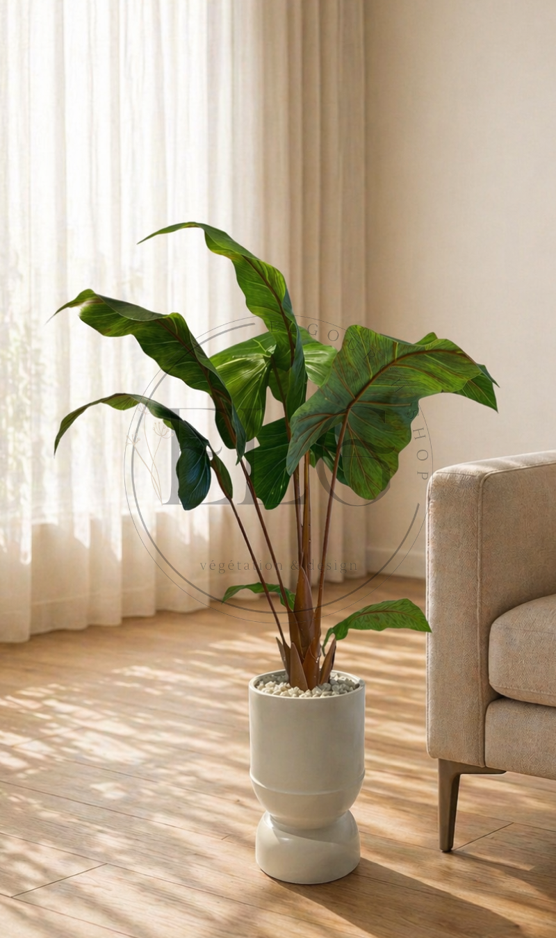 Alocasia - plante artificielle