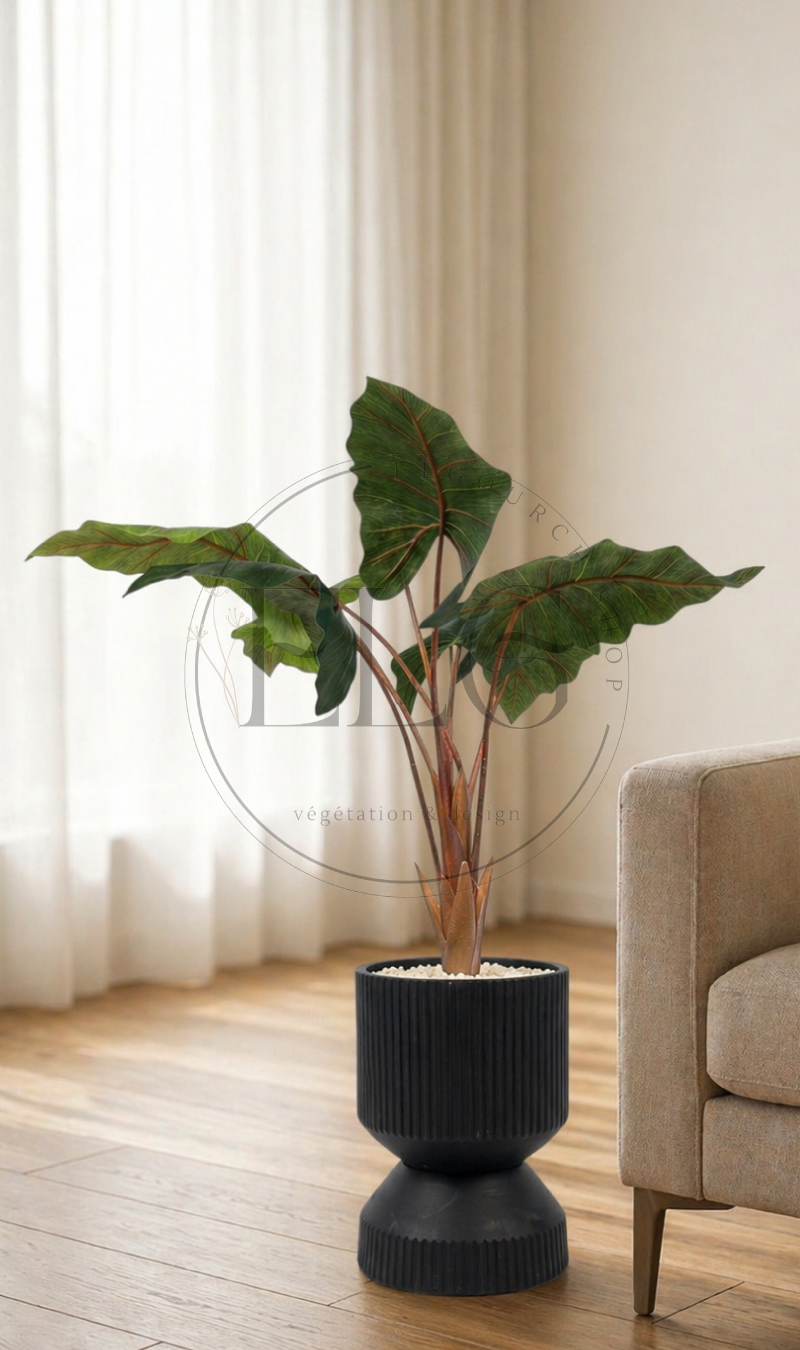 Alocasia - plante artificielle