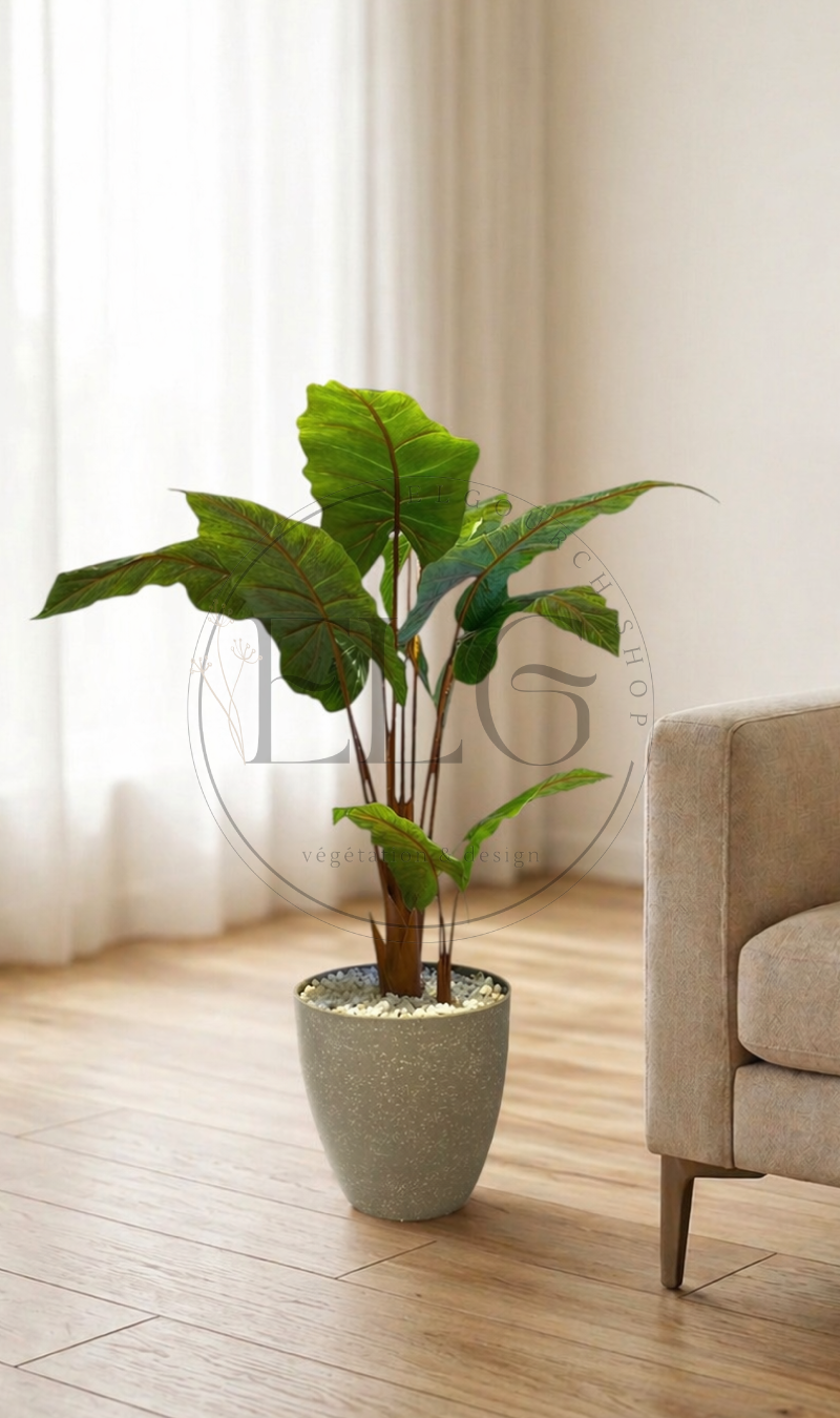Alocasia - plante artificielle