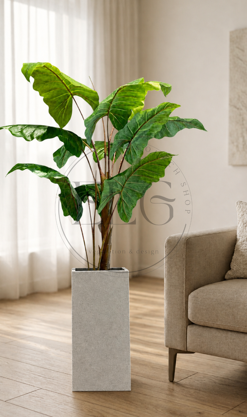 Alocasia - plante artificielle