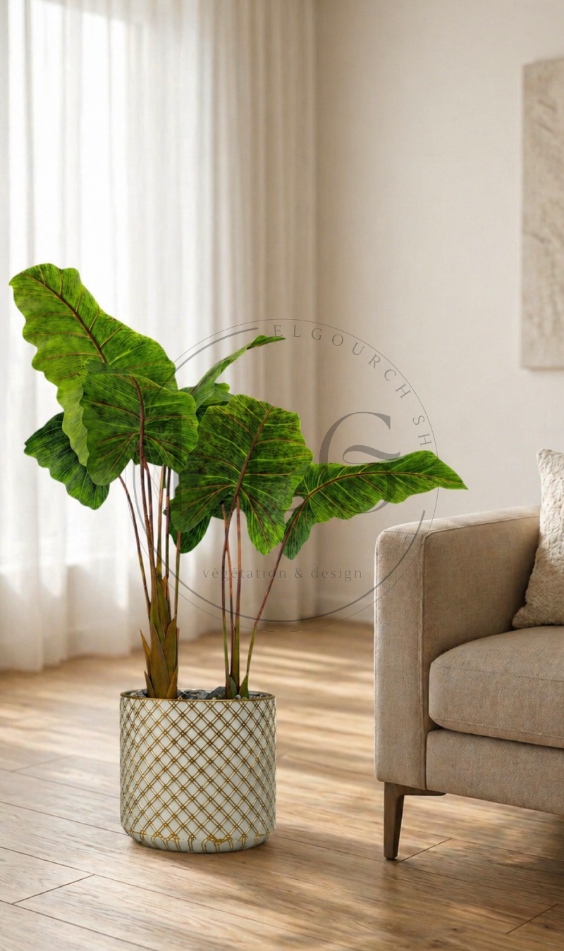 Alocasia - plante artificielle