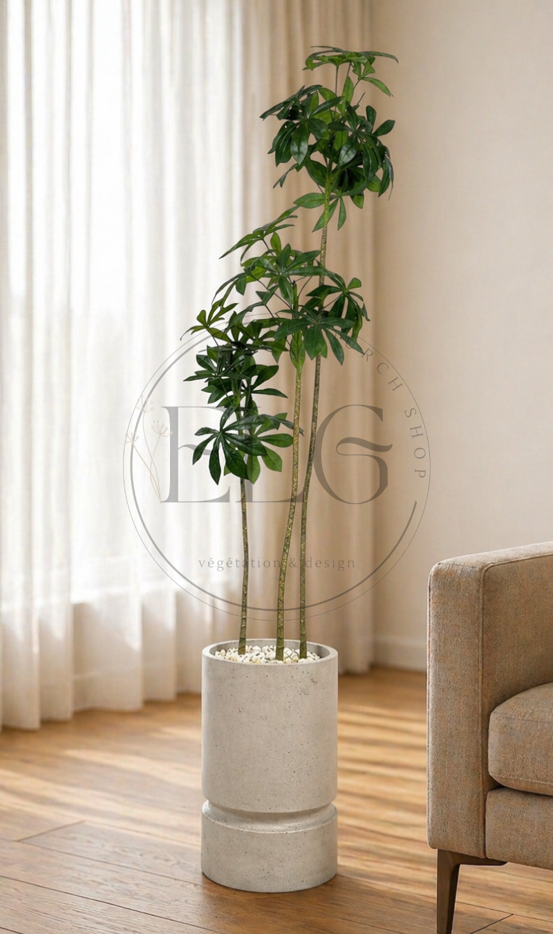 Schefflera - plante artificielle