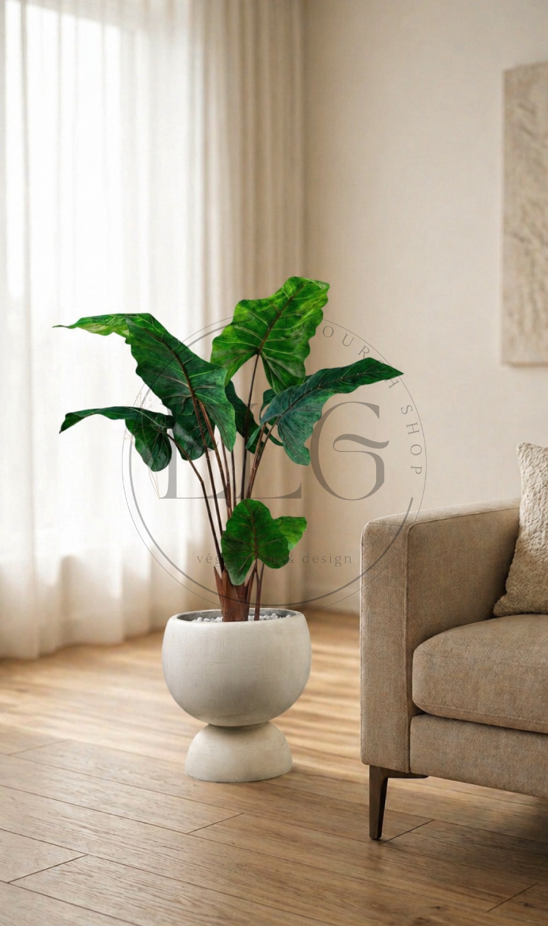Alocasia - plante artificielle