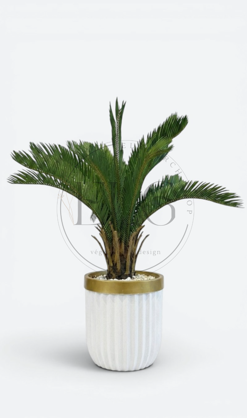 Cycas - plante artificielle