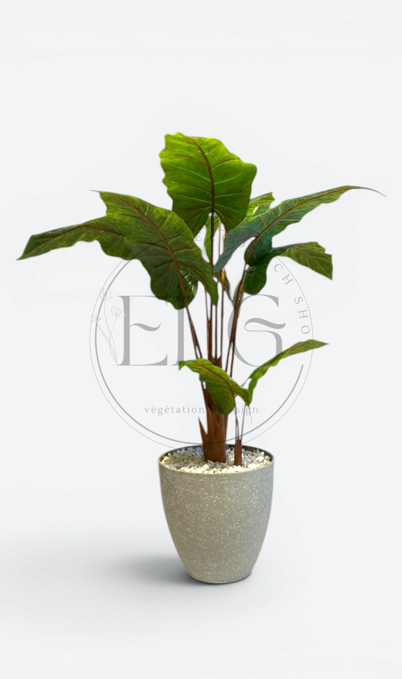 Alocasia - plante artificielle