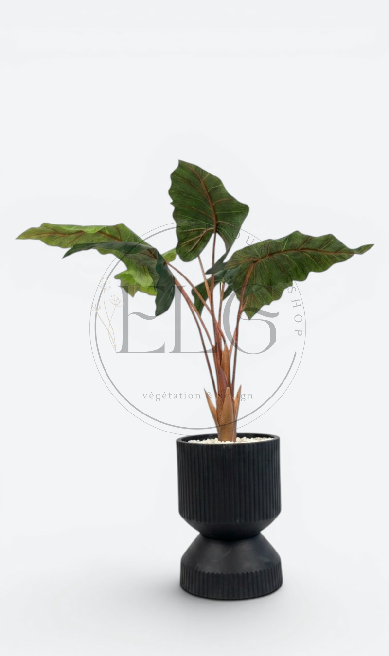 Alocasia - plante artificielle