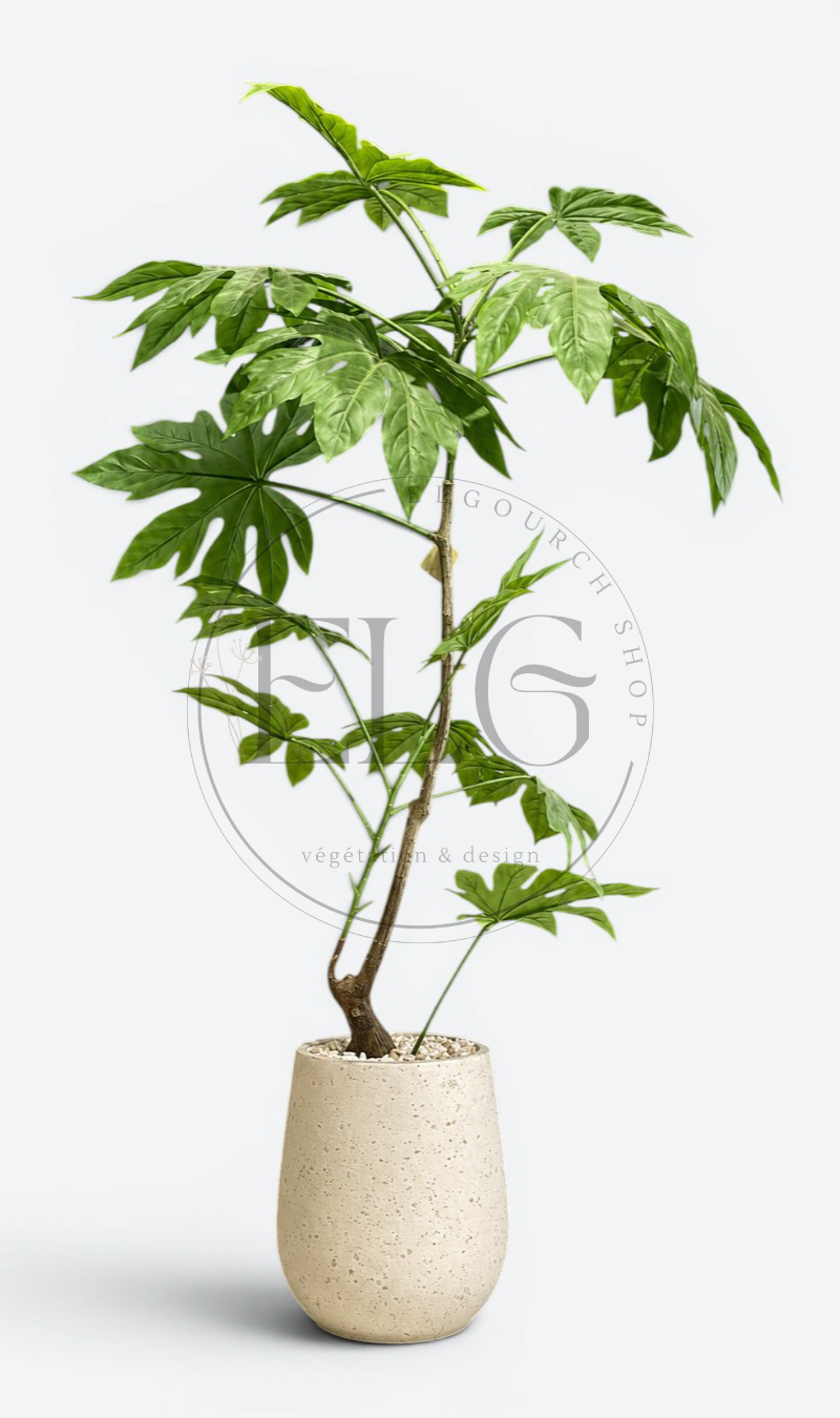 Aralia du Japon - plante artificielle
