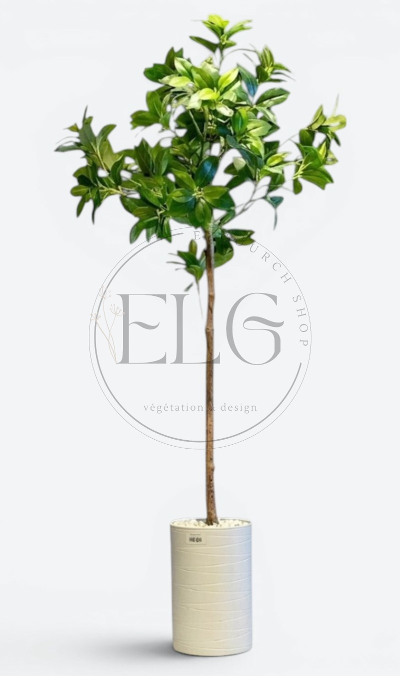 Schefflera - plante artificielle