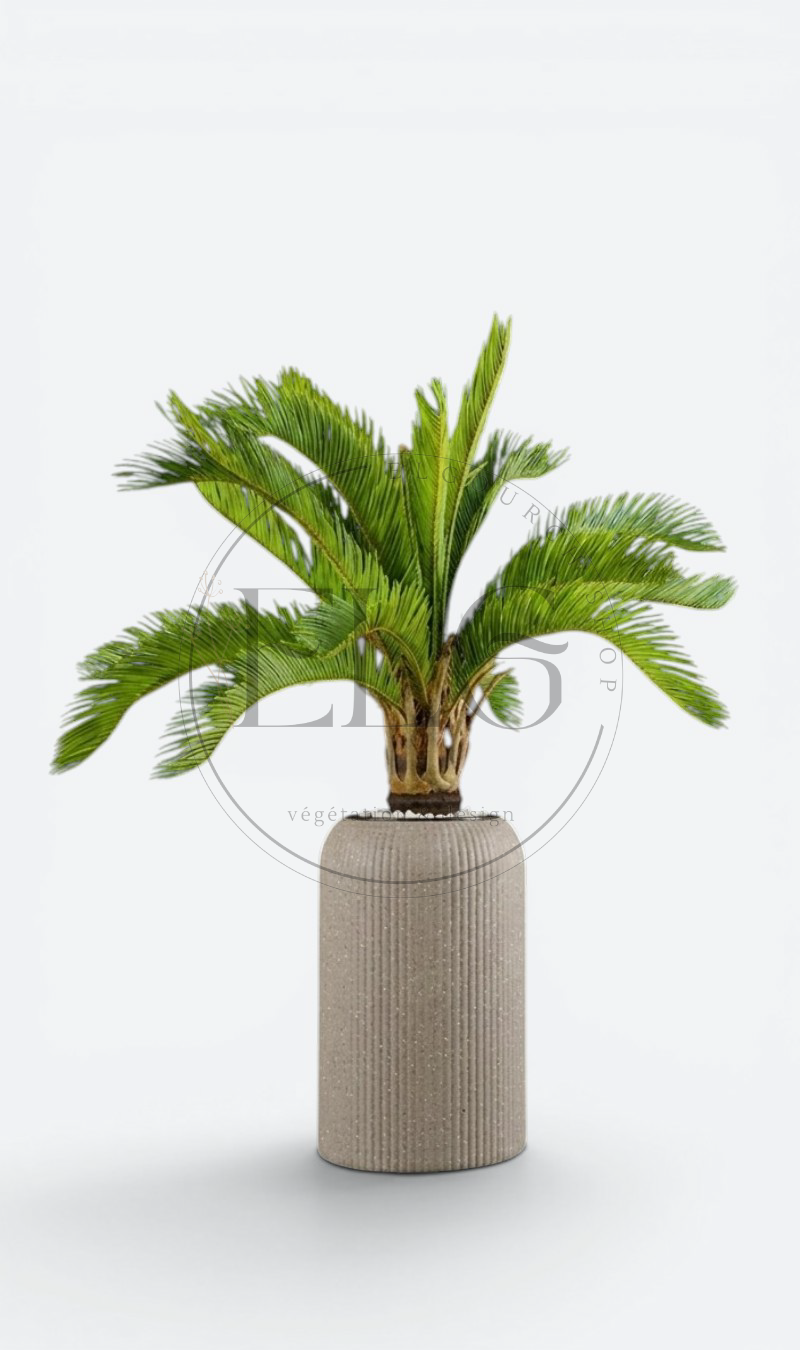 Palmier - plante artificielle