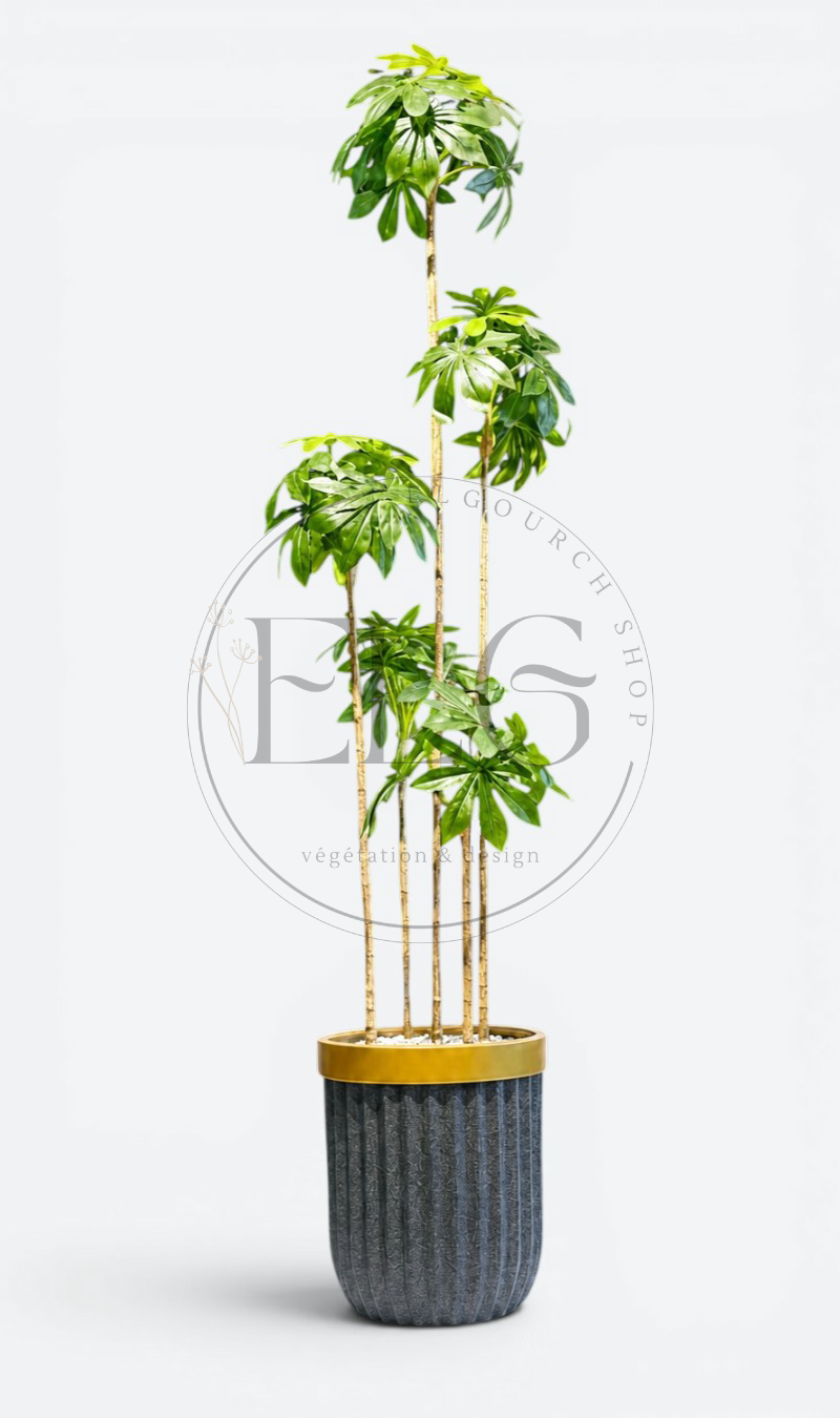 Schefflera - plante artificielle