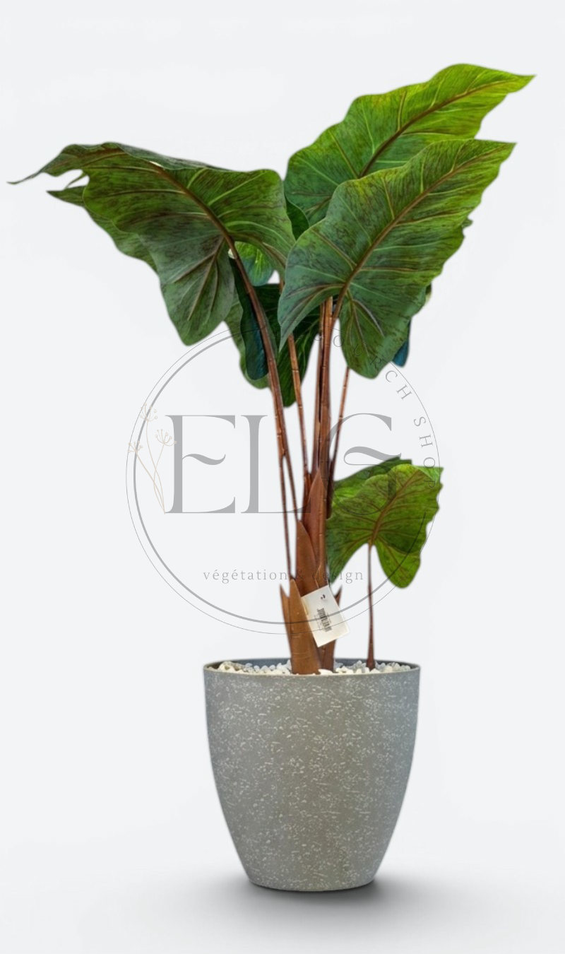 Alocasia - plante artificielle