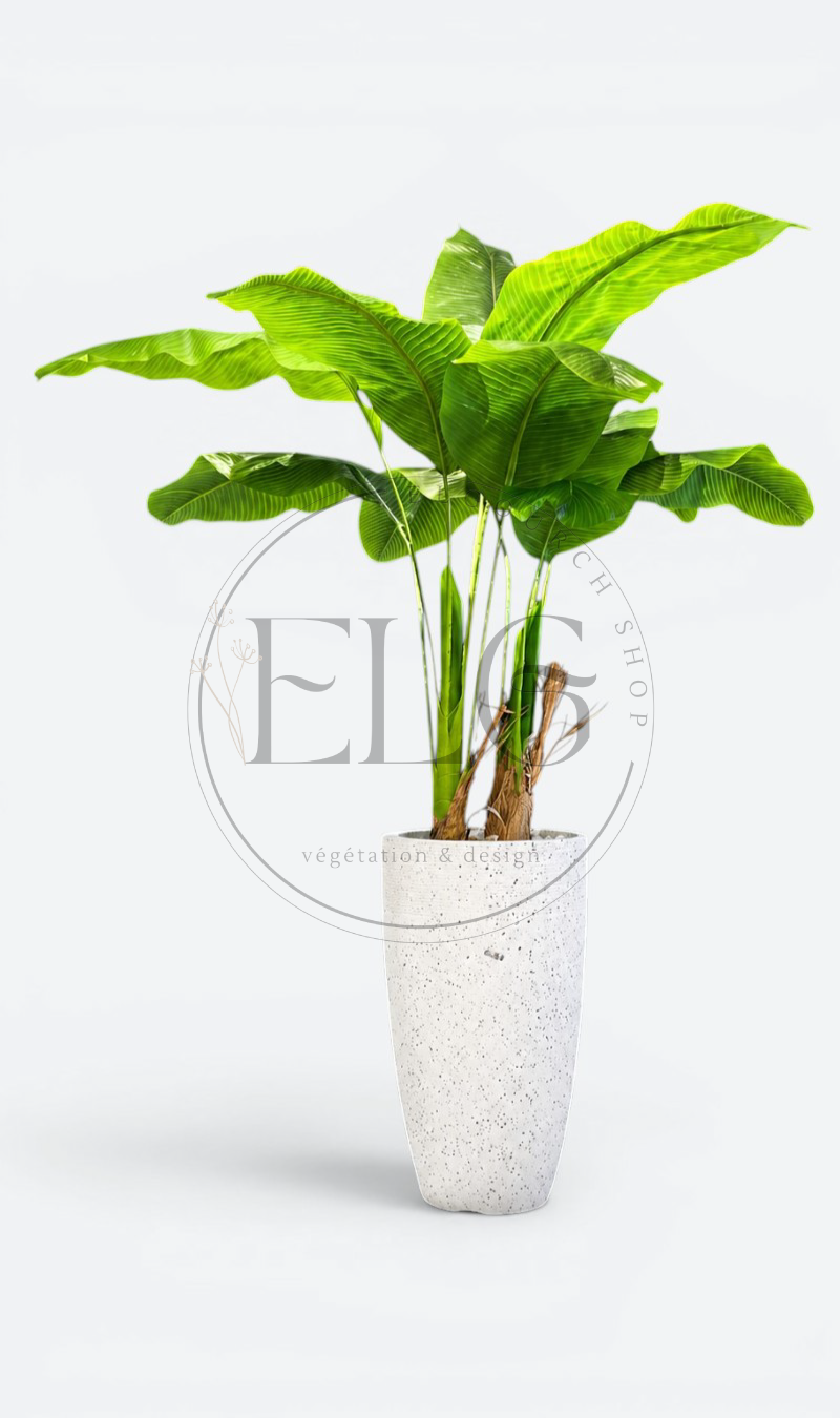 Bananier - plante artificielle